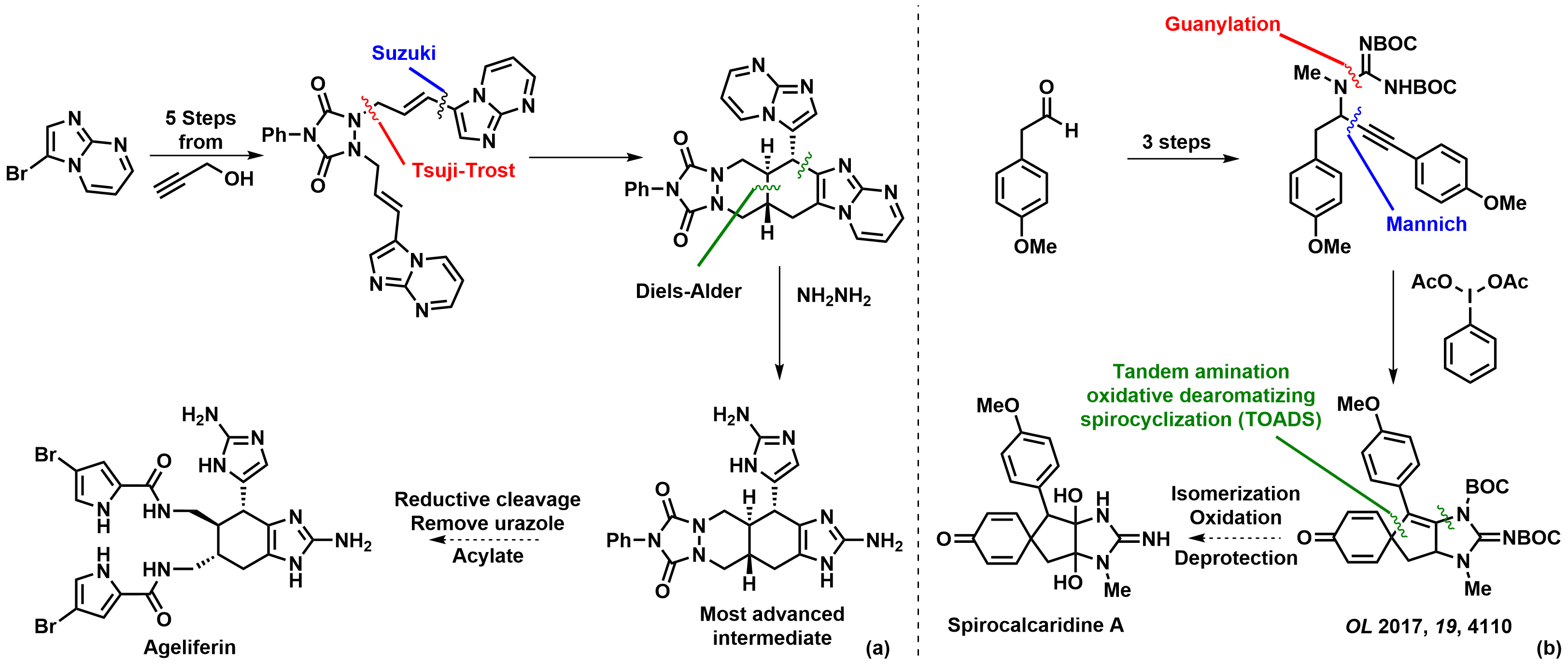 Figure showing two reaction schemes